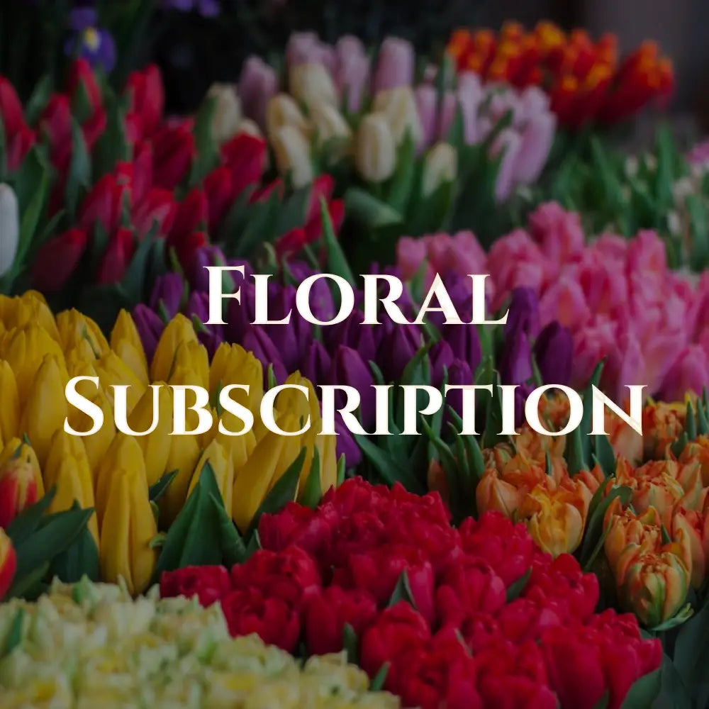 Subscriptions