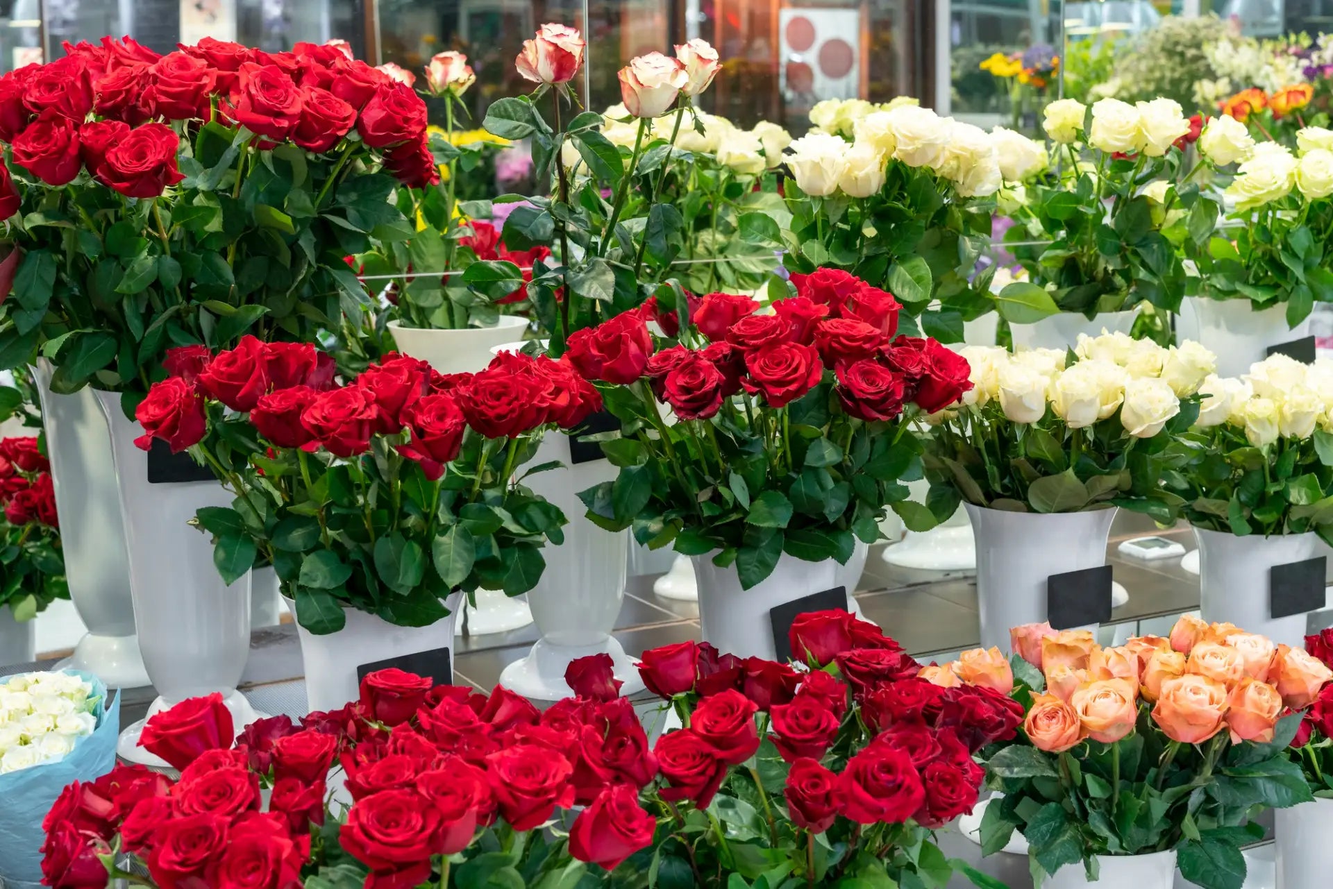 Bouquets of red, white, and orange roses in white buckets on a market stall.