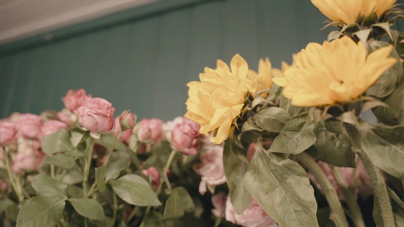 Blush Pink roses and yellow tulips video 